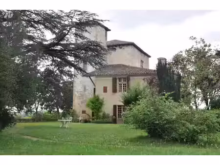 dans le comminges à 15 kms saint gaudens  château inscrit ismh 645m²sur près de 7hectares.