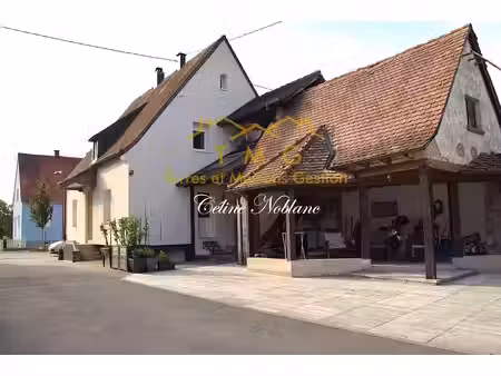 charmante maison de 130 m2 avec grande terrasse et garage