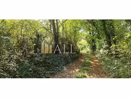 terrain forestier de 5ha