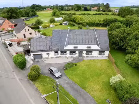 grande maison kangourou ou projet professionnel