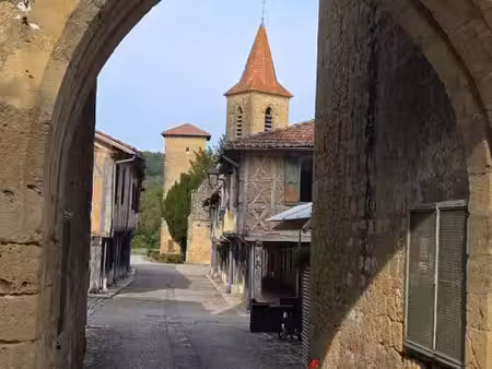 maison tillac 8 pièce(s) 350 m2 avec jardin et dépendances