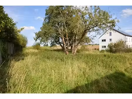 terrain