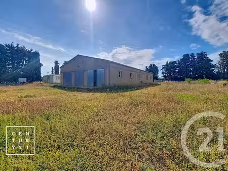 terrain à vendre - 24425 m2 - corneilla la riviere - 66 - languedoc-roussillon