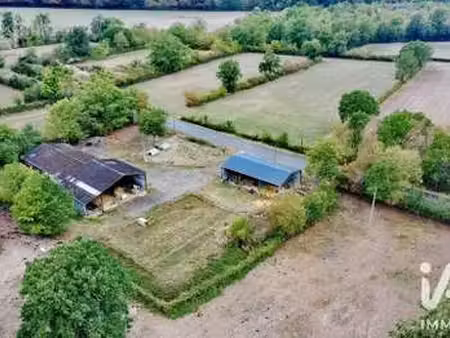 vente terrain à morlac (18170) : à vendre / 31145m² morlac
