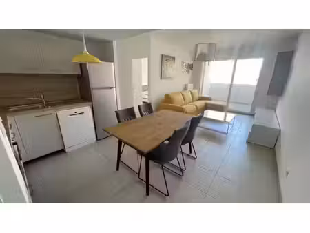location appartement 2 pièces 47 m² à lyon 7 (69007)