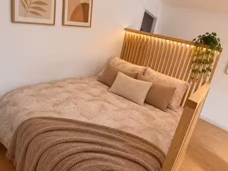 appartement meublé - riedisheim centre
