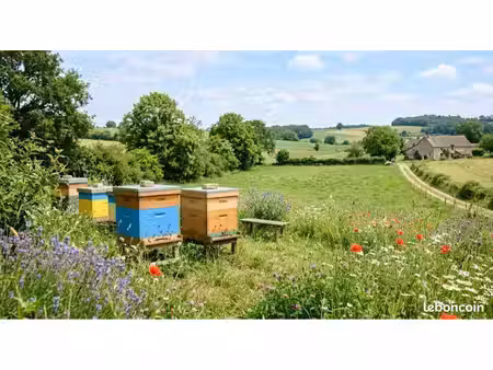 recherche terrain de loisir/agricole