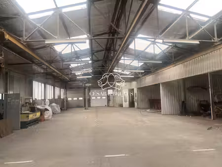 immobilier professionnel à vendre caluire-et-cuire