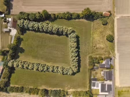 vastgoedmakelaar sinds 2009