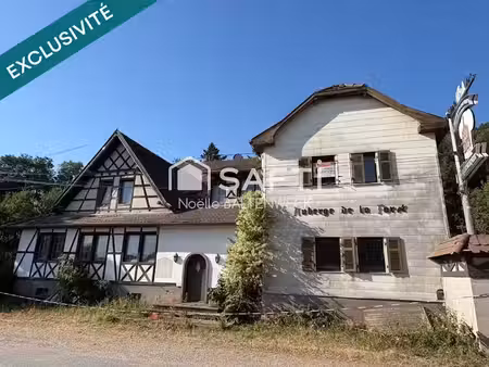 vente immeuble 0 pièces 300 m² à chatenois (67730)  380 000 €