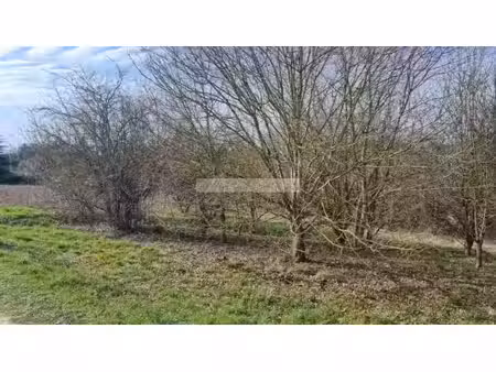 vente terrain 3000 m² à douzat (16290)  46 100 €