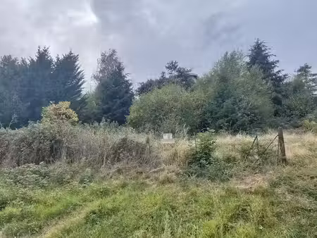 vente terrain 798 m² à saint-didier-en-velay (43140)  48 000 €