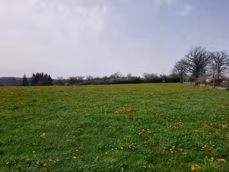 vente terrain 1500 m² à roannes-saint-mary (15220)  42 000 €