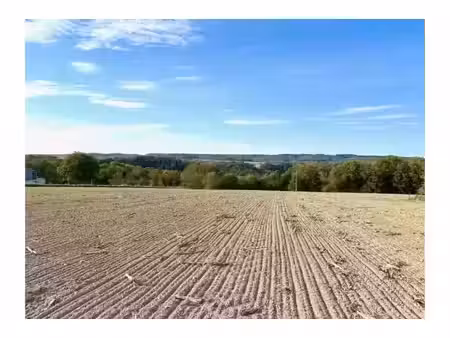 terrain à bâtir en vente publique à rue de saint-amour durbuy (vbe74253)