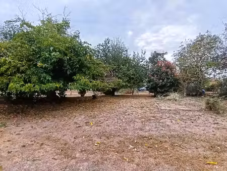vacquiers proche centre beau terrain à bâtir arboré de 750 m²