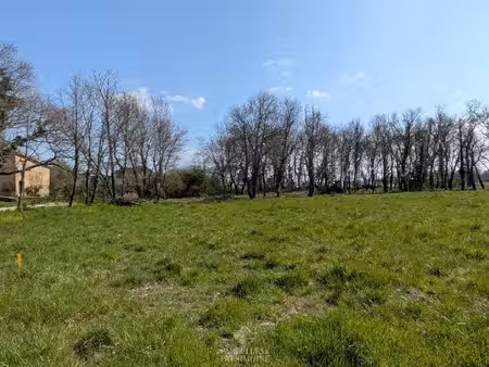 terrain