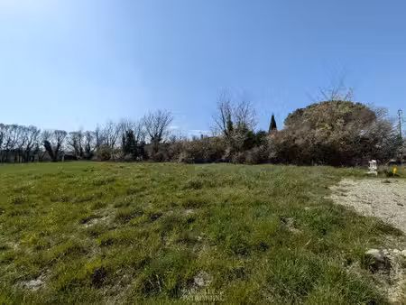 terrain