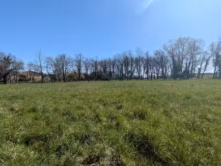terrain
