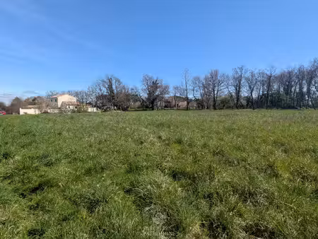 terrain