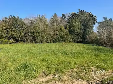 mauves-sur-loire (44470)