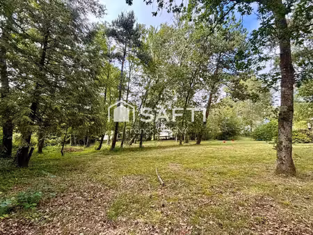 terrain individuel constructible en zone boisée