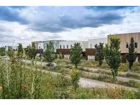 location local d’activités 48m² à 2339m²