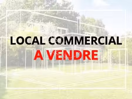 vente bureaux et commerces aux sables-d'olonne (85100) : à vendre / 173m² les sables-d'olo