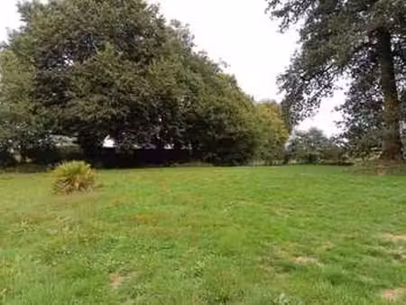 vente terrain à plouay (56240) : à vendre / 871m² plouay