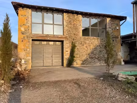 vente local d’activités chatillon 69380 100m²