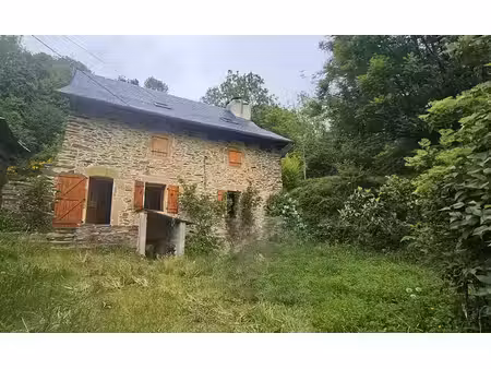 vente maison 4 pièces 135m2 prades-d'aubrac 12470 - 159000 € - surface privée