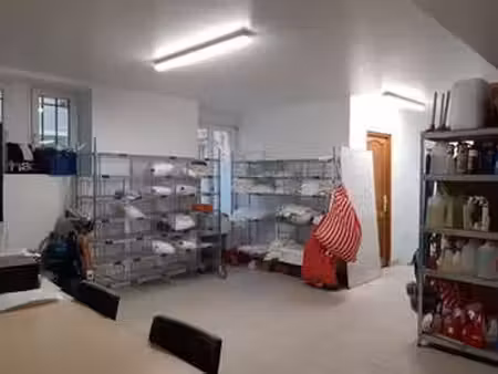 vente bureaux et commerces au palais (56360) : à vendre / 140m² le palais