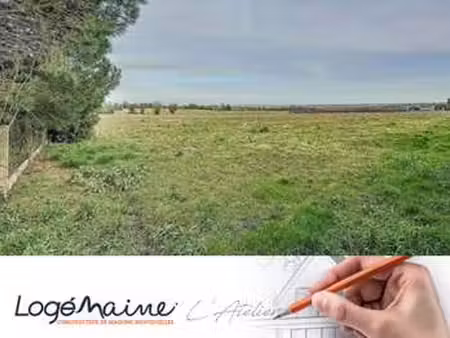 vente terrain à feneu (49460) : à vendre / feneu