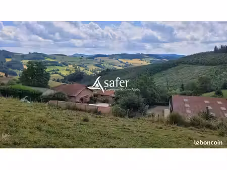 terrain 800000 m² thizy-les-bourgs