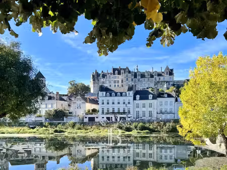 hôtel particulier à vendre à saint-aignan