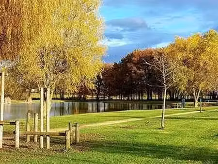 vente terrain à ligné (44850) : à vendre / 1240m² ligné