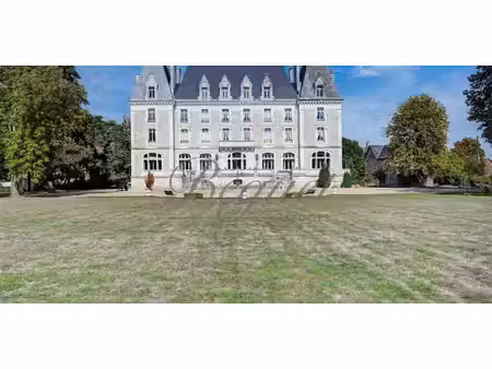 maison avec piscine et terrasse azay-le-rideau (37)