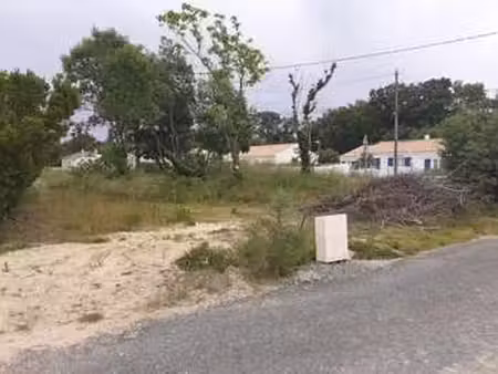 vente terrain à sallertaine (85300) : à vendre / 638m² sallertaine