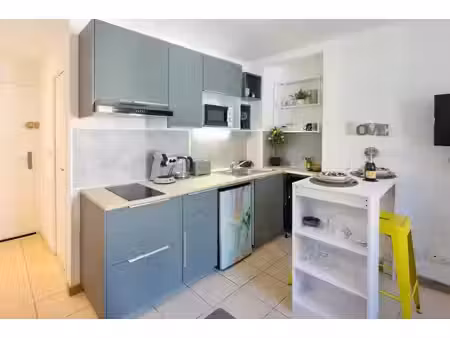 location meublée appartement 1 pièce 20 m² à apt (84400)  489 €