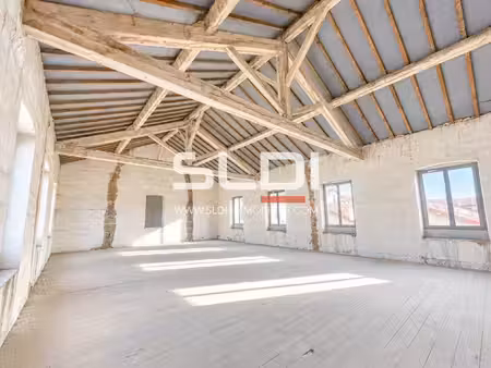 achat local professionnel 983m² serezin du rhone 69360
