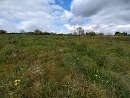vente terrain à meslan (56320) : à vendre / 4260m² meslan