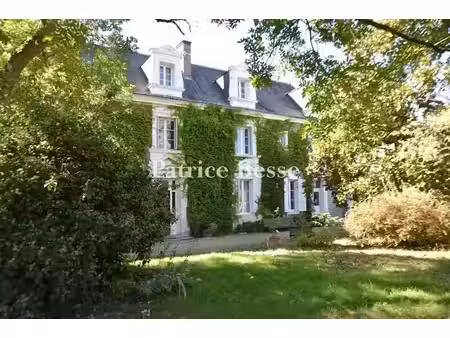 vente maison 9 pièces 320 m² à amboise (37400)  1 040 000 €