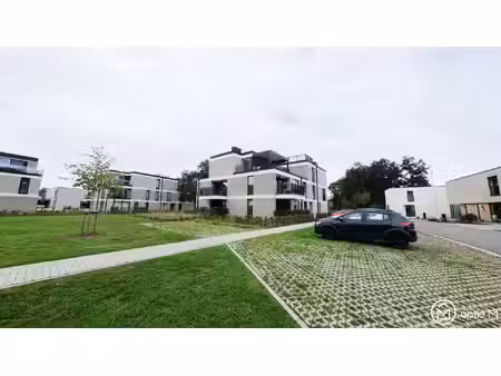 appartement te huur in zonhoven met 1 slaapkamer