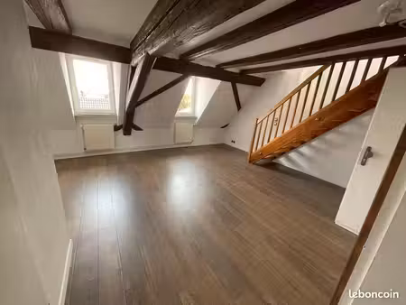 grand 2 pièces duplex avec garage