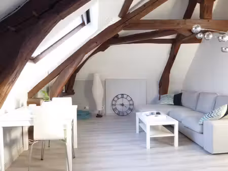 f2 de 39m2 utiles - 24m2 carrez en plein centre ville