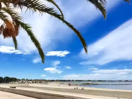 vente appartement 4 pièces 79 m² à le grau-du-roi (30240)  538 000 €