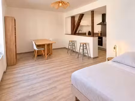 studio 1 pièce 33 m²