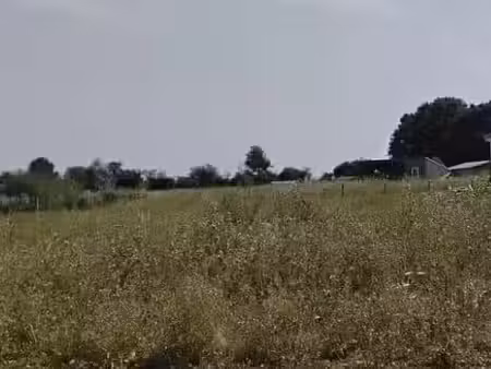 vente terrain 590 m² à neuville-de-poitou (86170)  55 000 €