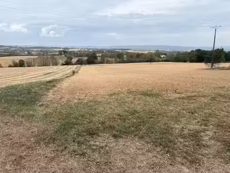 vente terrain 1519 m² à saint-affrique-les-montagnes (81290)  55 000 €