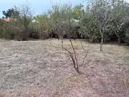 vente terrain 606 m² à lagarrigue (81090)  64 800 €