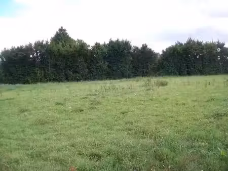 vente terrain 621 m² à bachivillers (60240)  75 000 €